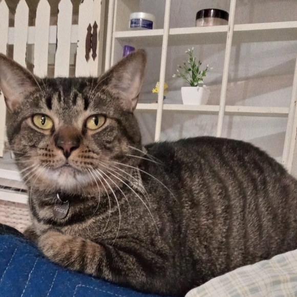 Meet your Posher, Shena - Picture 8 of 8